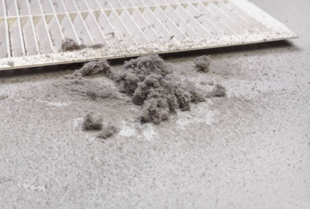 Best Duct Cleaning Specialists  in Laurie, MO
